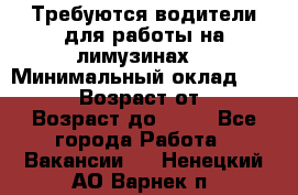 Требуются водители для работы на лимузинах. › Минимальный оклад ­ 40 000 › Возраст от ­ 28 › Возраст до ­ 50 - Все города Работа » Вакансии   . Ненецкий АО,Варнек п.